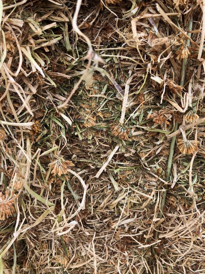 400mt Balansa Clover Hay 600kg approx. 8x4x3 Bales Hay
